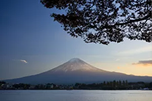 Honshu Island Gallery: Japan, Honshu Island, Kawaguchi Ko Lake, Mt. Fuji and Maple Trees