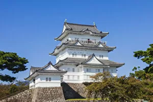 Images Dated 8th February 2018: Japan, Honshu, Kanagawa Prefecture, Odawara, Odawara Castle, The Castle Tower