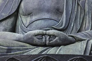 Images Dated 2019 July: 11 Jul 2019 Collection