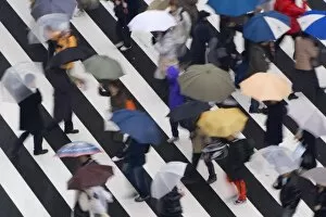 Crowds Gallery: Japan, Honshu, Tokyo, Ginza, Sukiyabashi crossing