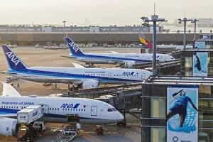 Japan, Honshu, Tokyo, Haneda Airport, All Nippon Airways aka ANA Planes Parked at