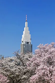 Shinjuku Prints: Japan, Honshu, Tokyo, Shinjuku, Shinjuku Goen National Garden