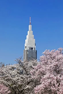 Japan, Honshu, Tokyo, Shinjuku, Shinjuku Goen National Garden