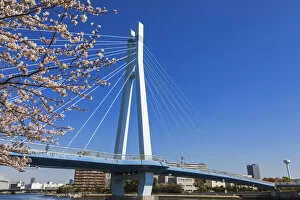 Images Dated 11th July 2019: Japan, Honshu, Tokyo, Toyosu, Shinonome, Sakurabashi Bridge