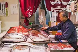 Images Dated 11th July 2019: Japan, Honshu, Tokyo, Tsukiji Market, Fish Shop Display