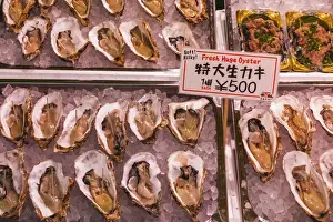 Fish Market Prints: Japan, Honshu, Tokyo, Tsukiji, Tsukiji Outer Market, Seafood Shop Display of Oysters