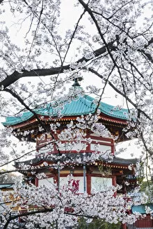 Temples Gallery: Japan, Honshu, Tokyo, Ueno, Ueno Park, Shinobazu Pond, Bentendo Temple