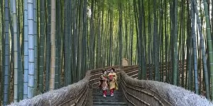 Adashino Nembutsu Ji Temple Gallery: Japan, Kyoto, Arashiyama, Adashino Nembutsu-ji Temple, Bamboo Forest