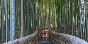 Japan, Kyoto, Arashiyama, Adashino Nembutsu-ji Temple, Bamboo Forest