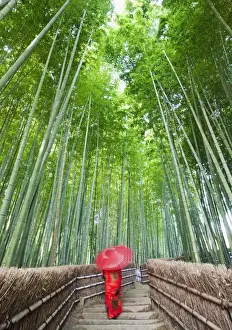 Forests Prints: Japan, Kyoto, Arashiyama, Adashino Nembutsu-ji Temple, Bamboo Forest