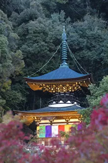 Images Dated 5th January 2016: Japan, Kyoto, Eikando Temple