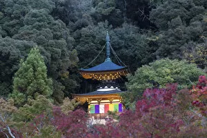 Images Dated 5th January 2016: Japan, Kyoto, Eikando Temple