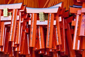 Images Dated 9th November 2011: Japan, Kyoto, Fushimi-ku, Fushimi Inari Taisha shrine, small Tori gates