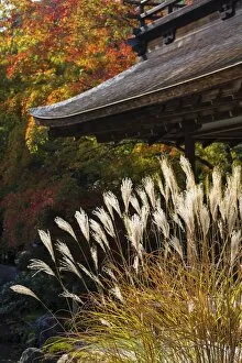 Images Dated 12th November 2015: Japan, Kyoto, Ginkakuji Temple - A World Heritage Site