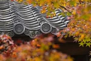 Images Dated 13th November 2015: Japan, Kyoto, Higashiyama district, Sho-ren-in Temple, Roof top and Autumn foliage