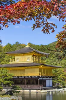 Images Dated 5th January 2016: Japan, Kyoto, Kinkaku-ji, -The Golden Pavilion officially named Rokuon-ji
