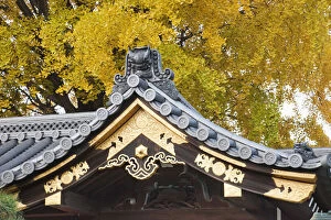 Kyoto Gallery: Japan, Kyoto, Nishi-Honganji Temple, Detail of Roof and Autumn Leaves