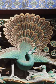 Nikko Prints: Japan, Nikko, Toshogu Shrine, Wooden Peacock Carving