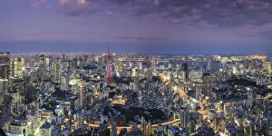 Japan, Tokyo, Aerial view of cityscape and Tokyo Tower