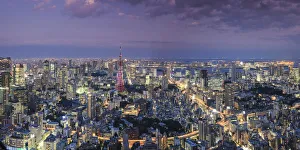 Images Dated 7th March 2018: Japan, Tokyo, Aerial view of cityscape and Tokyo Tower