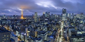 Images Dated 23rd June 2017: Japan, Tokyo, elevated night view of the city skyline and iconic illuminated Tokyo Tower