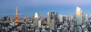 Images Dated 23rd June 2017: Japan, Tokyo, elevated night view of the city skyline and iconic illuminated Tokyo Tower