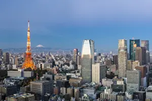 Building Exterior Prints: Japan, Tokyo, elevated night view of the city skyline and iconic illuminated Tokyo Tower