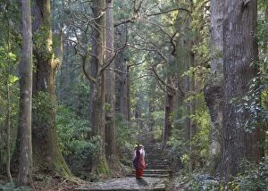 Images Dated 25th April 2015: Japan, Wakayama Prefecture, Kumano Kodo Pilgrimage Trail (UNESCO Site), Japanese