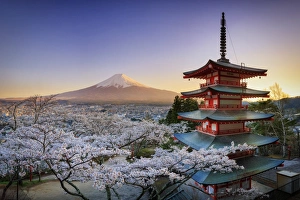 Japan, Yamanashi Prefecture, Fuji-Yoshida, Chureito Pagoda, Mt Fuji and Cherry Blossoms