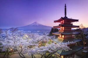 Japan Gallery: Japan, Yamanashi Prefecture, Fuji-Yoshida, Chureito Pagoda, Mt Fuji and Cherry Blossoms