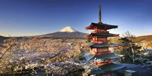Images Dated 15th April 2015: Japan, Yamanashi Prefecture, Fuji-Yoshida, Chureito Pagoda and Mt Fuji during Cherry