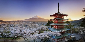 Japan, Yamanashi Prefecture, Fuji-Yoshida, Chureito Pagoda, Mt Fuji and Cherry Blossoms
