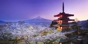 Oriental Flavours Collection: Japan, Yamanashi Prefecture, Fuji-Yoshida, Chureito Pagoda, Mt Fuji and Cherry Blossoms