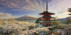 Japan, Yamanashi Prefecture, Fuji-Yoshida, Chureito Pagoda, Mt Fuji and Cherry Blossoms