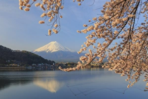 Japan, Yamanashi Prefecture, Kawaguchi-ko Lake, Mt Fuji and Cherry Blossoms Japan, Yamanashi Prefecture, Kawaguchi-ko Lake, Mt Fuji and Cherry Blossoms