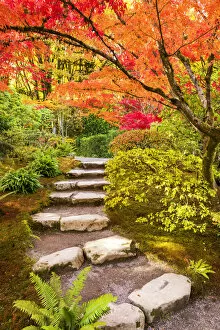 Images Dated 17th April 2018: Japanese Garden in Autumn, Seattle, Washington, USA