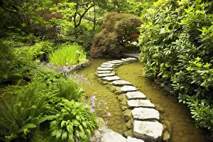 Cultivating Prints: Japanese Garden, Butchart Gardens, Victoria, Vancouver Island, British Columbia, Canada