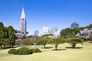 Shinjuku Prints: Japanese garden in spring at the Shinjuku gyoen, Tokyo, Japan