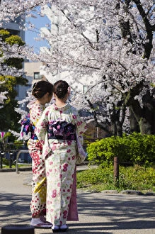 Images Dated 19th June 2020: Japanese Girls in kimono during Sakura Blooming in Asakusa, Tokyo, Japan