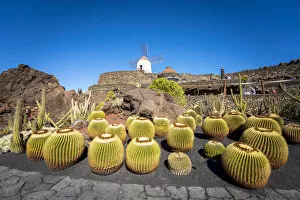 Images Dated 26th February 2020: Jardin de Cactus, garden by Cesar Manrique. Lanzarote, Canary Islands, Spain