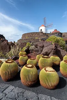 Jardin de Cactus, garden designed by Cesar Manrique in Lanzarote, Canary Island, Spain