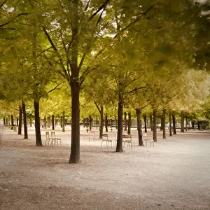 Latin Quarter Prints: Jardin du Luxembourg, Latin Quarter, Paris, France