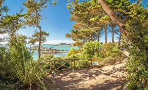 Botany Prints: Jardin Exotique on the Ile de Batz, Finistere, Brittany, France