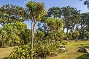 Finistere Collection: Jardin Exotique on the Ile de Batz, Finistere, Brittany, France