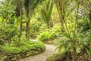 Coastal Town Prints: Jardin Exotique, Roscoff, Finistere, Brittany, France