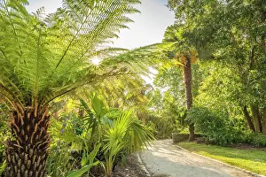 Quimper Prints: Jardin de la Retraite, Quimper, Finistere, Brittany, France