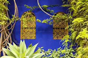 Peter Fischer Prints: Jardin Majorelle, The Majorelle Garden is a botanical garden in Marrakech, Morocco