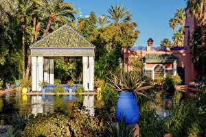 Botany Prints: The Jardin Majorelle, Marrakech, Morocco