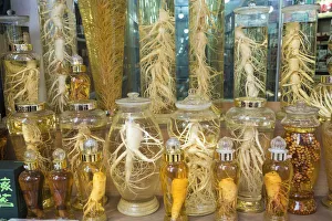 Jars of Ginseng, Dongdaemun Food Market, Dongdaemun District, Seoul, South Korea Jars of Ginseng, Dongdaemun Food Market, Dongdaemun District, Seoul, South Korea