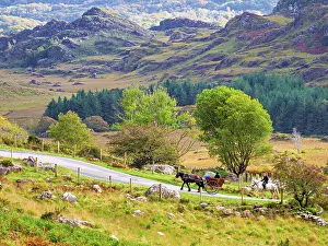Head Prints: Jaunting car at the road through the Black Valley up the Head of the Gap of Dunloe